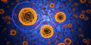 Credit for developing cell theory is usually given to three scientists: What Is The Cell Theory Why Is It Important