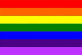This wiki in no way supports this identity and does not accept this identity into the community. 30 Different Pride Flags And Their Meaning Lgbtq Flags Names