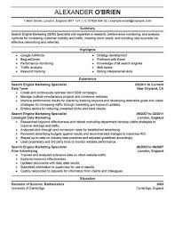 Resume Templates Multiple Jobs Same Company 2 Templates Example Templates Example