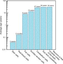 Scientists who use radiometric dating typically use every means at their disposal to check, recheck, and verify their results, and the more important the results the more they are apt to be checked and rechecked by others. Iupac Periodic Table Of The Elements And Isotopes Iptei For The Education Community Iupac Technical Report