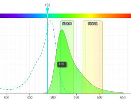 Fluorescence Compensation Research At St Michaels Hospital