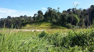 However, it wasn't like a 4.5km hike that i had today. Mohd Faiz Bin Abdul Manan Setia Alam Community Trail