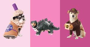 9 Best Dog Halloween Costumes 2019 | The Strategist | New York Magazine