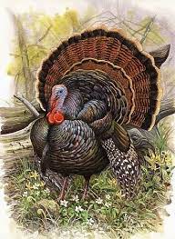 monthly challenge 28 gobble wobble thanksgiving art vintage disney coloriage de cheval