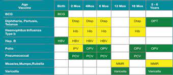 The most obvious benefit of getting vaccination at home is being able to get the services of doctor or nurse at the comfort of your home, rather than having to travel all the way. 5 Facts About Vaccinations In Dubai Vaccination Schedule 2021