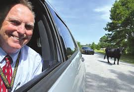 2 candidates file to represent Ward 4