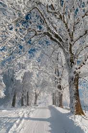 Le Paysage D Hiver En 80 Images Magnifiques Archzine Fr Paysage Hiver Paysage Magnifique Hiver Paysage Hiver Noel