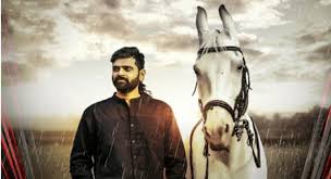 Image result for veera bhoga vasantha rayalu