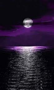 We did not find results for: Magical Moon Beautiful Moon Scenery Nature