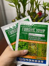Furore 10WP