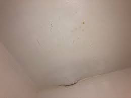 Here are our 10 simple and modern bathroom ceiling 1. On My Bathroom Ceiling Above The Shower First Floor Of An Apartment Building Whatisthisthing