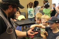 Animal Encounters: Ampibians, Reptiles, & Insects!