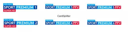 Na kanale polsat sport premium 1 stream live online pokazywane są transmisje ze wszystkich meczów ligi mistrzów, a także wybrane spotkania ligi europy. Pakiet 2 Kanalow Polsat Sport Premium 4 Kanalow Vod Psp Na 12 24 M