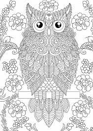 epingle par anita rios sur color pages coloriage chouette hibou www enfants coloriages com