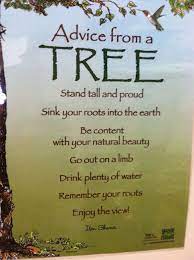Tree Quote Http Www Theclimbingtreebook Com Inspirational Quotes From Books Amazing Inspirational Quotes Cheesy Quotes