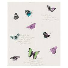 Jetzt online bestellen oder reservieren & abholen in ihrem fachcentrum. Freundin Home Collection Summer Breeze Vliestapete Bunt Motiv Schmetterlinge 10 05 X 0 53 M Gestreifte Tapete Tapeten Grafische Illustration