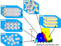 I have received many requests from women interested in knowing what are the best crystals and crystals for focus concentration study. Lyotropic Liquid Crystal Wikipedia