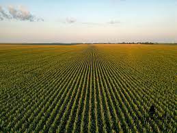 Illinois Rural Land for Sale - 878 Properties - LandSearch