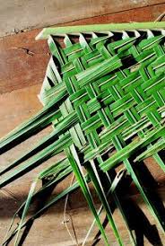 There are many fabulous beach homes for rent there, also. How To Weave A Thatch Roof From Coconut Palm Fronds Palm Frond Art Coconut Decoration Coconut Leaves