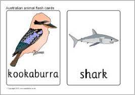 australian animal flash cards sb7728 sparklebox flashcards animals childrens