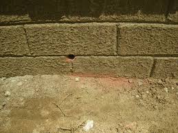 We did not find results for: Weep Holes Drilled After The Wall Is Complete Exterior Inspections Internachi Forum