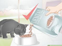 However, when teeth grinding occurs on a regular basis (especially when it is done unconsciously in the sleep), the teeth can be damaged and other teeth grinding is most common in adults between the ages of 25 and 44. How To Stop Teeth Grinding In Cats 7 Steps With Pictures