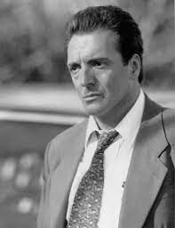 Armand Assante Armand Assante Handsome Actors Actors