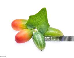 Image result for Coccinia