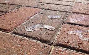 Concrete paints completely cover and protect the concrete surface, but require a lot of prep work. How To Paint Or Seal A Concrete Floor Promain Resource Centre