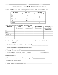 Access the most extensive library of templates available. Chromosomes And Meiosis Reinforcement Worksheet Answers Meiosis Biology Worksheet Worksheets