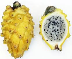 Pitaya usually refers to fruit of the genus stenocereus, while pitahaya or dragon fruit refers to fruit of the genus selenicereus (formerly hylocereus), both in the family cactaceae. Drachenfrucht Significato E Sinonimi Di Drachenfrucht Nel Dizionario Tedesco