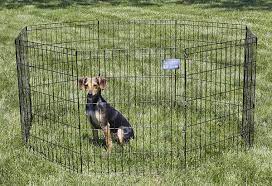 Maybe you would like to learn more about one of these? Best Portable Dog Fence For Large Dogs Bestdogfood Com