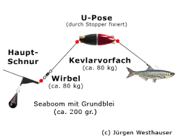 Stellt euch vor, ihr habt ein total veschlammtes gewässer und wollt trotzdem auf grund. Angler Wiki Grundbleimontagen Fischlexikon