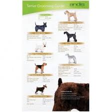 Pet Grooming Charts Buy Today Groomers Uk