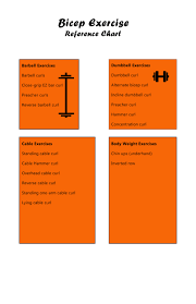 bicep exercise charts