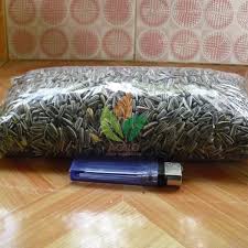 Peneglompokan jenis bunga matahari ini tergantung pada ukuran tingginya atau warna bunga yang dihasilkan. Jual Biji Bunga Matahari Murah Agro Bibit Id