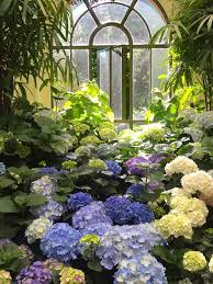 Blue White Garden Design Ideas Gardening From House To Home In 2020 White Hydrangea Garden Blue Flowers Garden White Gardens