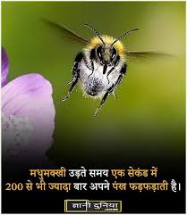 Interesting Facts About Animals In Hindi Interesting Facts In Hindi Fun Facts About Animals Animal Facts