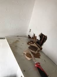 Jun 04, 2020 · flood damage (if you have flood insurance) homeowners insurance will only cover water leaks and water damage if the cause is sudden or accidental. Steps To Take If You Have Broken Pipes Kxan Austin