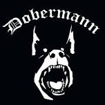 Dobermann