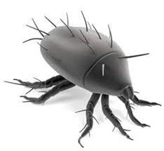 Asthma-Causes-Diagnosis-Best-treatment-options-Top-Homeopathic-doctor-in-Pakistan-Dr-Qaisar-Ahmed-AlHaytham-clinic-Risalpur