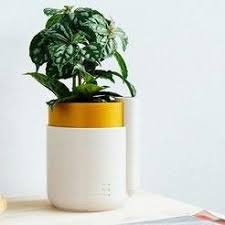 Self Watering Planter Small 3dprintingprojects Self Watering Planter Self Watering Self Watering Plants