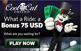 Save with cool cat casino discounts and promo codes. Cool Cat Casino Coolcat Casino Com Get 50 Free Spins Right Now And Win Review