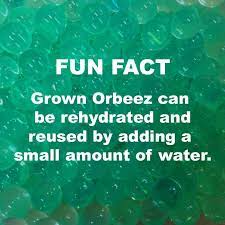 Orbeezone On Twitter Fun Facts Market Day Ideas Facts