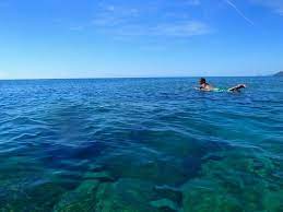 奄美大島 ビラリーフp ビラ 奄美大島