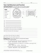 For life all cells have basic needs. Life Science Test Cell Structure And Function Printable 6th 12th Grade Teachervision