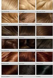 16 Important Facts That You Should Know About Strawberry Blonde Hair Color Chart Hair Color Chart Honey Hair Color Blonde Hair Shades Hair Shades