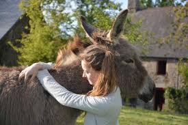 I think this is the reason of how we became a leader company in our industry. Useful Animals