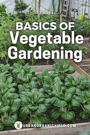 How To Start A Vegetable Garden For Beginners In 2021 Growing Vegetables Fall Garden Vegetables Starting A Vegetable Garden