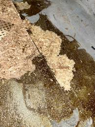 Image result for site:byggahus.se lim